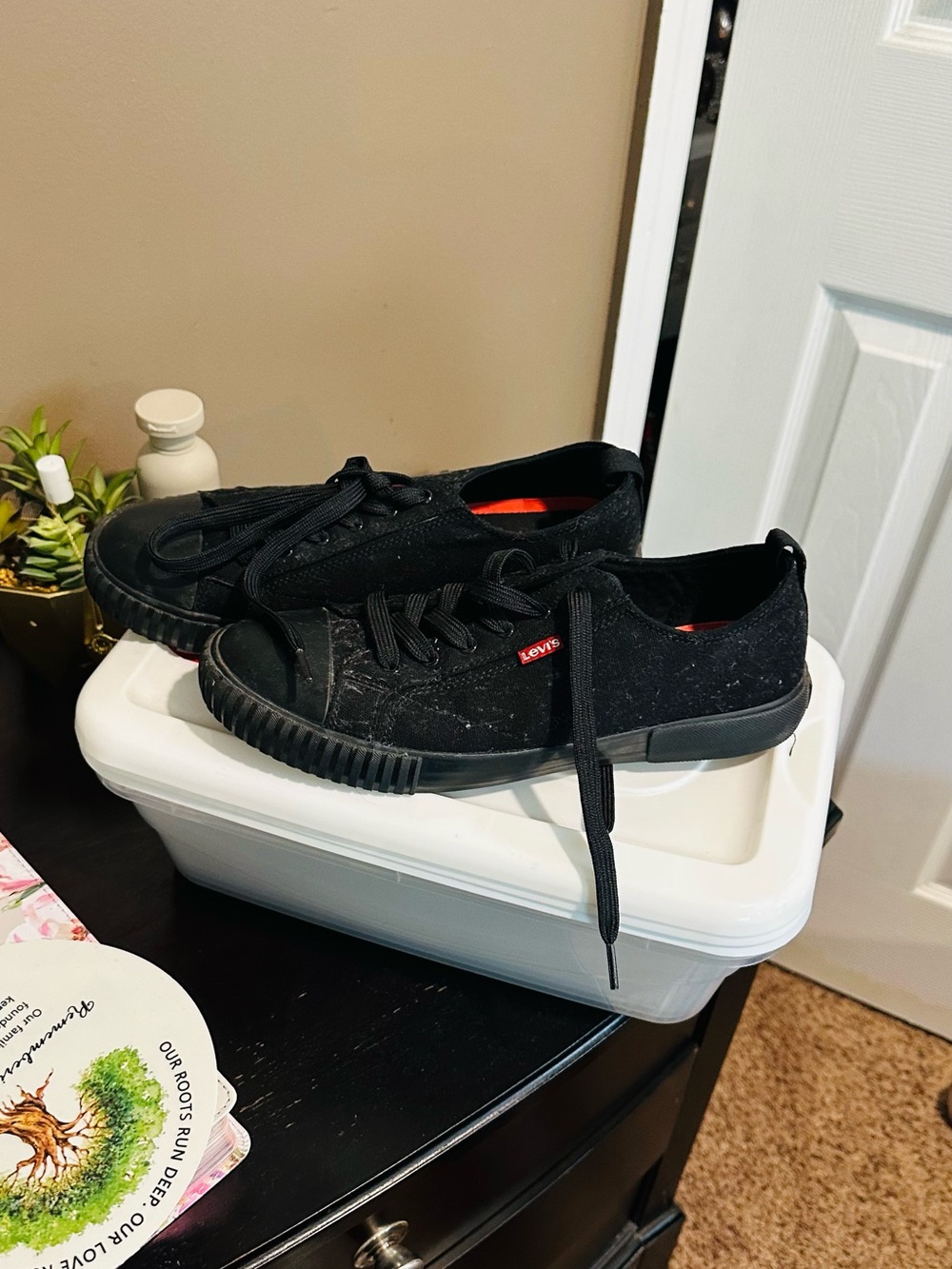 Levi's Black Canvas Low-Profile Sneakers with Red Tag